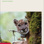 rspb.284.issue-1857.cover_