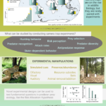 jae-graphical-abstract