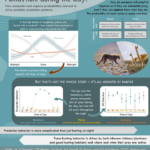smith-2020-ecology-graphical-abstract