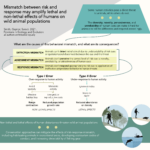 mismatch_graphical_abstract